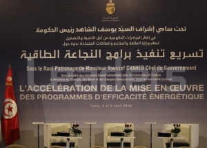 Tunisie - Appel à candidature pour la production de l’électricité à partir d’énergies renouvelables d’une capacité de 800 MW