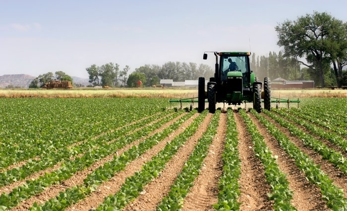 De la noblesse du métier d’agriculteur et des métiers de l’agriculture 