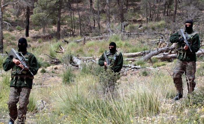 Deux terroristes tués par l'armée sur le mont Semmama