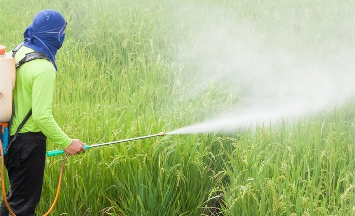Pour une révolution dans l’agriculture (2): vers un traite mondial sur les pesticides Pour une révolution dans l’agriculture (2): vers un traite mondial sur les pesticides