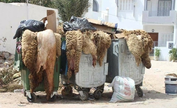 De Houston a Bizerte, les questions d’environnement ne peuvent être mises sous le tapis De Houston a Bizerte, les questions d’environnement ne peuvent être mises sous le tapis