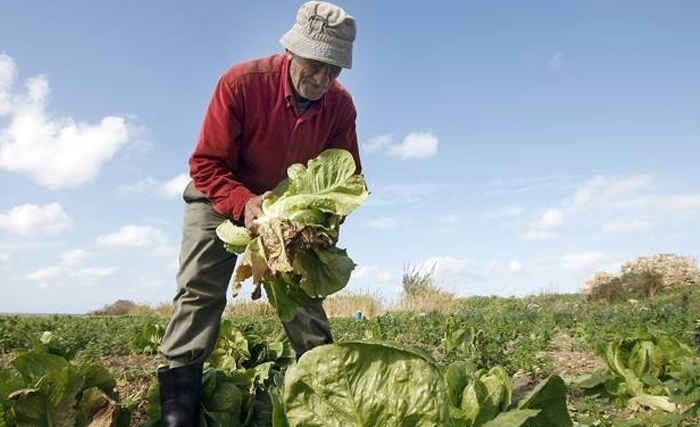 Malek Ben Salah: Agriculteurs,  Agronomes…, mes amis ! La main dans la main, sachons qui élire !