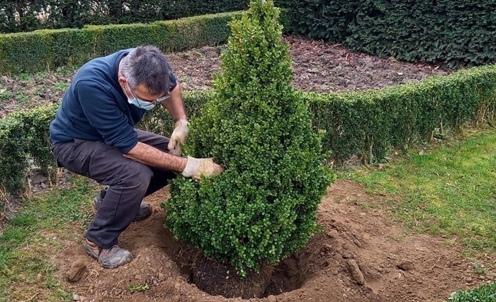 Pour surmonter les crises, cultivons notre jardin