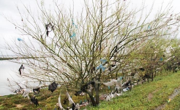 La pollution : une pandémie mortelle dont on ne parle pas assez.