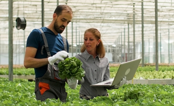 Face au changement climatique, un système d'aide à la décision pour une agriculture intelligente et durable (iGuessMed)