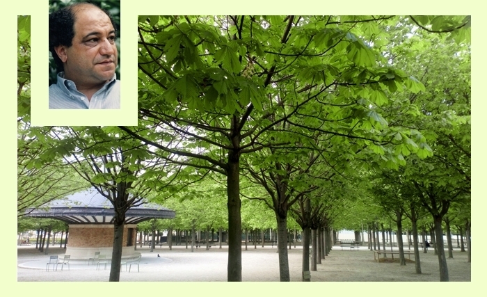 Tahar Bekri: Arbres Tahar Bekri: Arbres