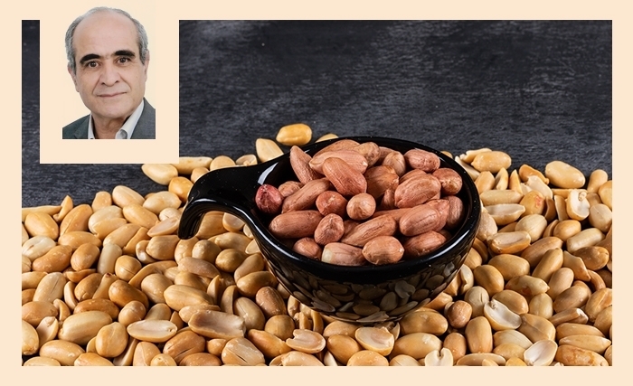 Les cacahuètes: plaisir gourmand et potentiel intéressant