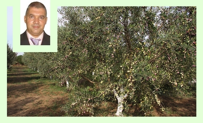 Mounir Zili - Agriculture Durable vs Agriculture «Rentable»: Le choc des modèles au cœur de l’olivier tunisien
