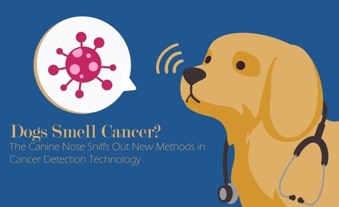 L’odorat des chiens au service de l’oncologie médicale