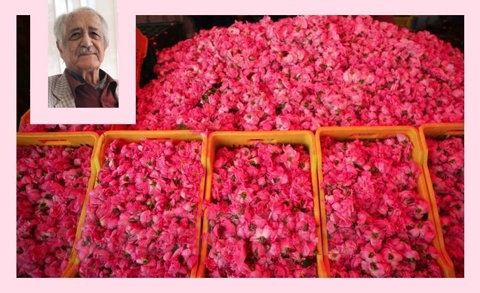 Anouar Attia: Je me souviens de Nabeul printanier