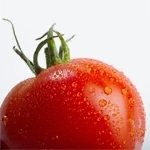  Ridha Bergaoui : La tomate, notre allié alimentaire, économique et stratégique