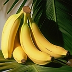 La banane: saveurs, bienfaits, secrets et petites histoires 