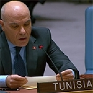 La Tunisie au Conseil de Sécurité : Rien n'a changé dans les territoires palestiniens occupés, le cessez-le-feu reste violé par la puissance occupante (Vidéo)