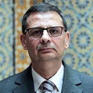 Elyes Ghariani - De la retenue à la puissance: le tournant stratégique allemand