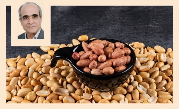 Les cacahuètes: plaisir gourmand et potentiel intéressant