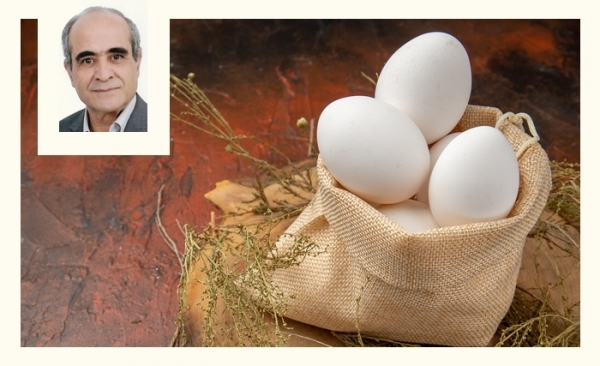 L’œuf de poule: un très ancien aliment devenu indispensable