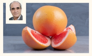 Le pamplemousse ou pomélo en Tunisie : un trésor nutritionnel et culinaire souvent ignoré